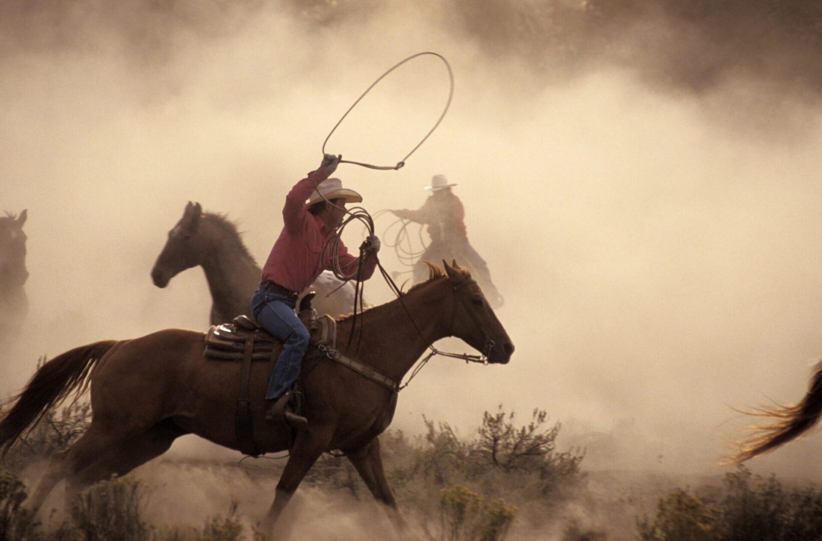 Team Roping Rope - Cowboy Sams